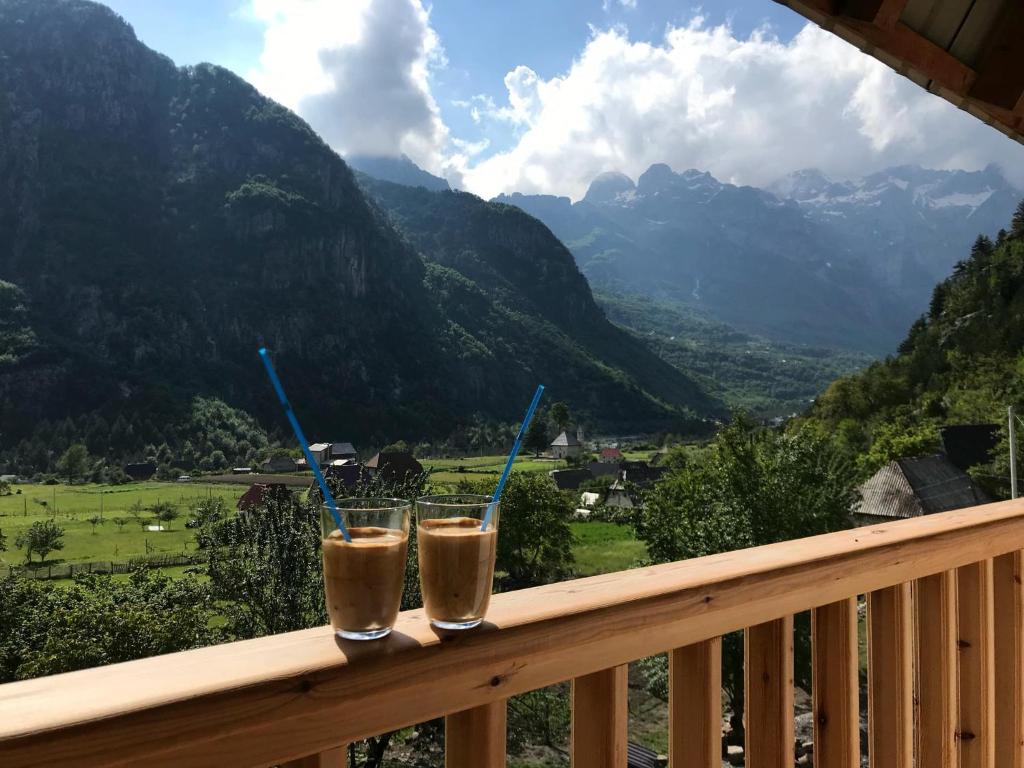 Bujtina Ziçi