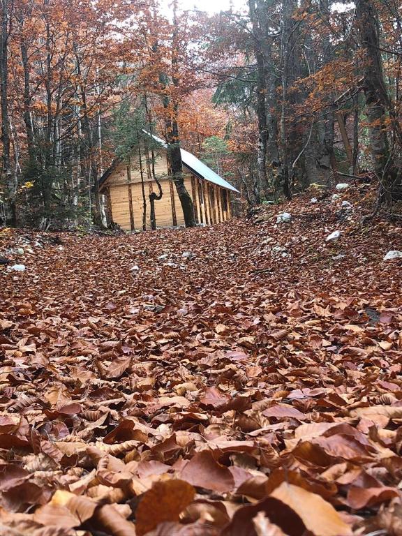 Guesthouse Dioni