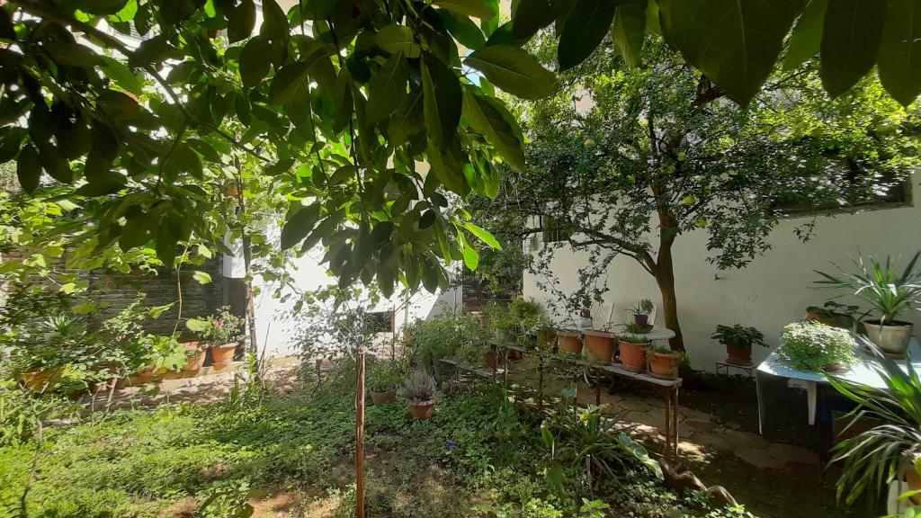 Enki’s garden guesthouse