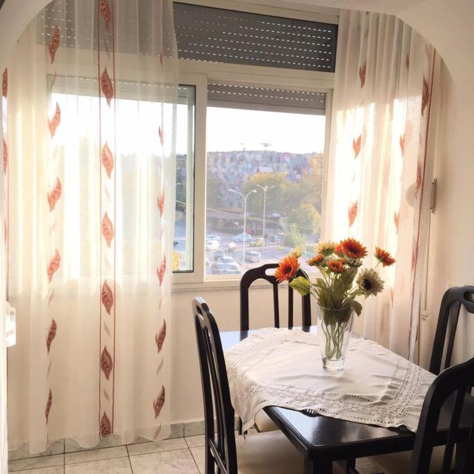 Vera’s Cozy 1BR 2 beds Apartment *Feel Like Home*