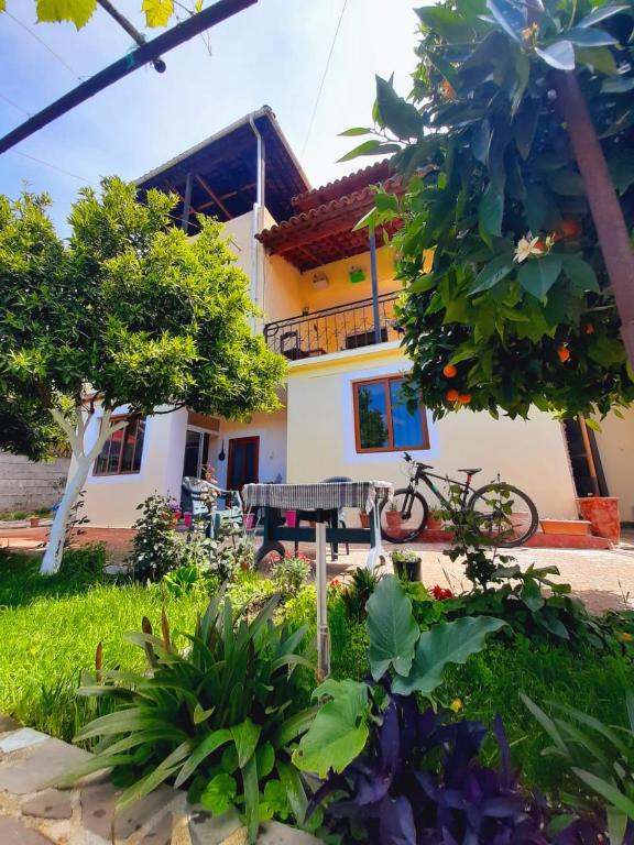 Guest House Noah&#038;Kristel