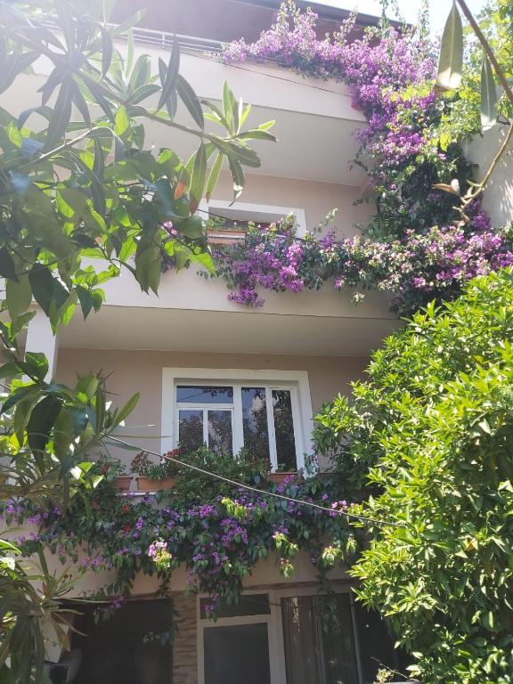 Flowers Guesthouse - Image 1