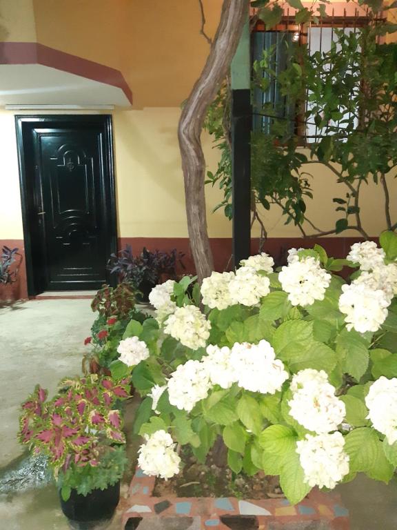 H&#038;A Guest House