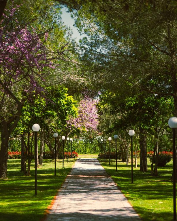 Green Park Divjakë - Image 1