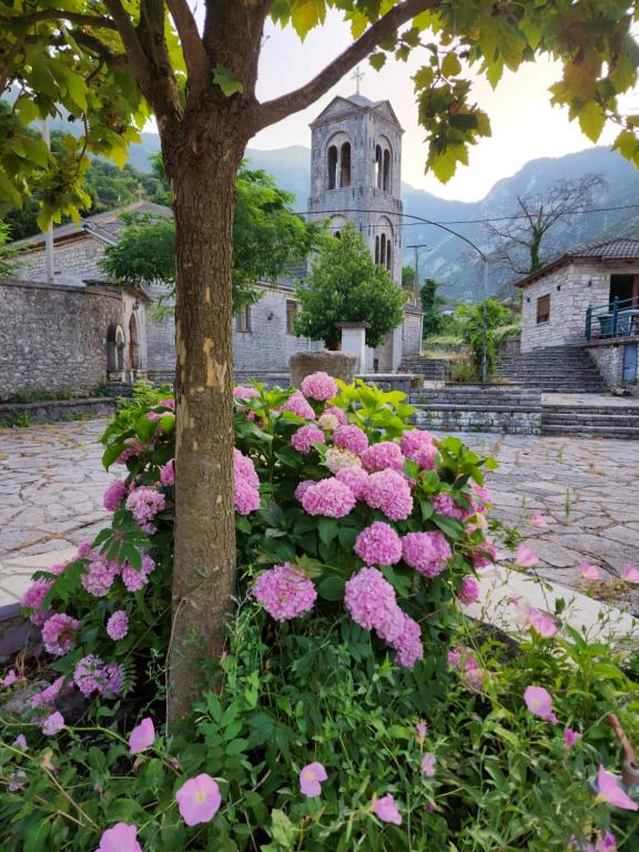 Guest House Seferi Ξενωνας Σεφερη