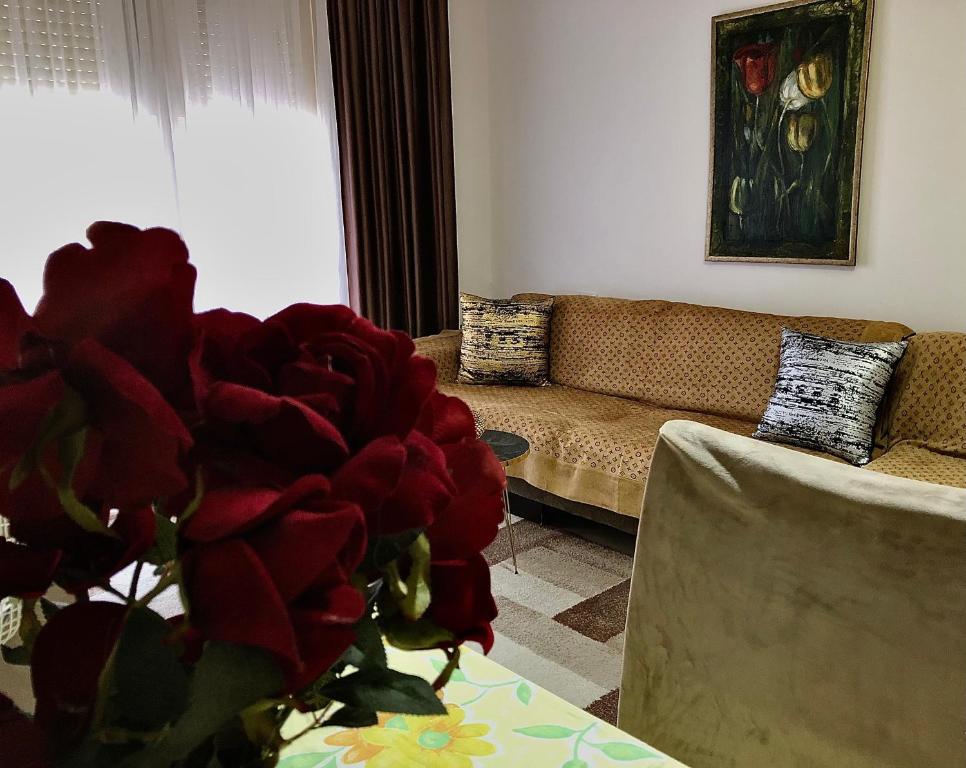Guest House Shyti