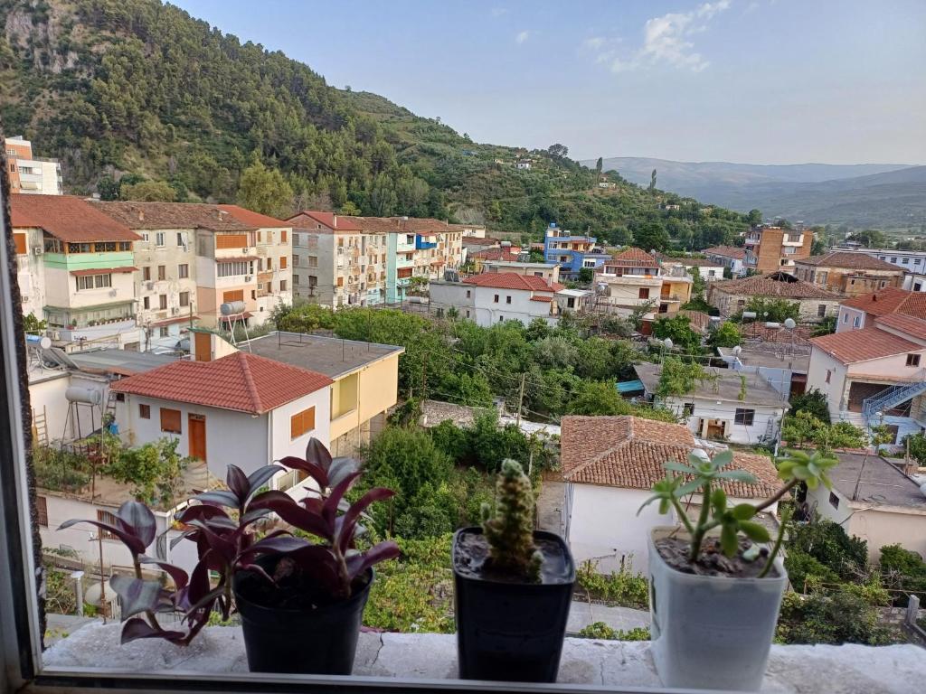 Enxhi’s apartment