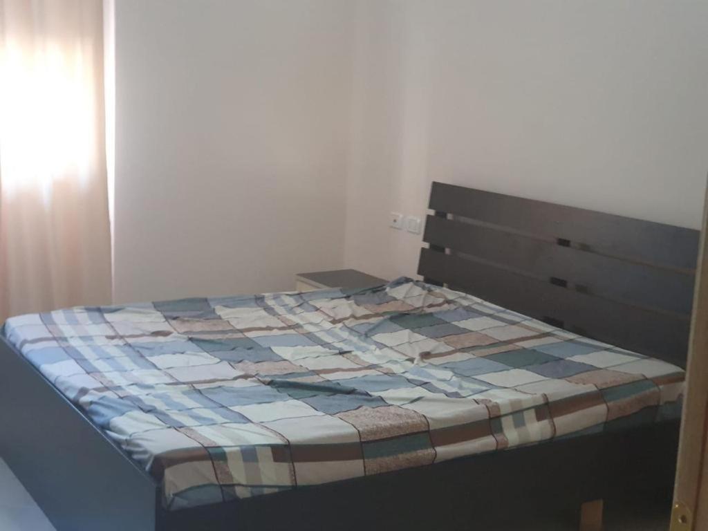 1+1 Apartment