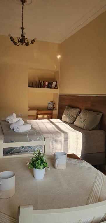 Alle’s Myslym Shyri studio apartment