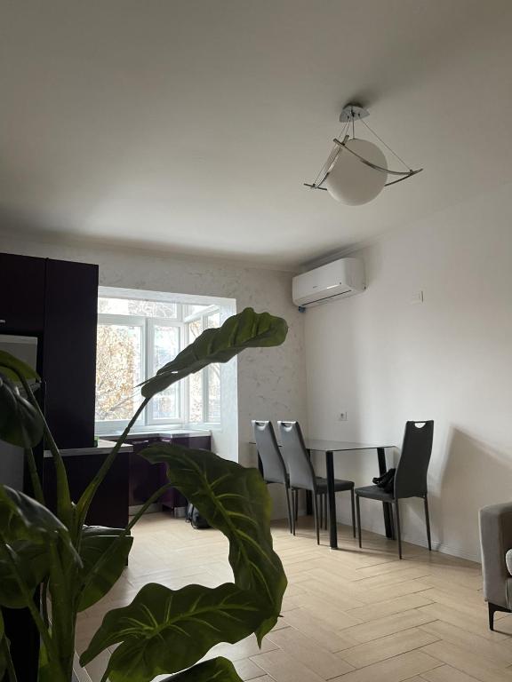 Cozy Apartment at Tirana’s Center - Image 1