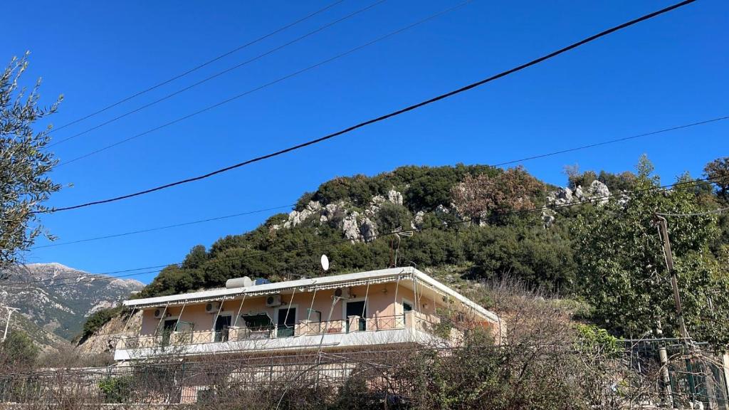 Oasis Hostel